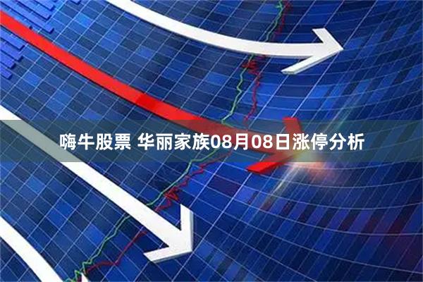 嗨牛股票 华丽家族08月08日涨停分析